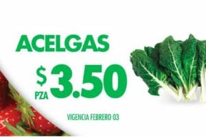 Comercial Mexicana: Miércoles de Plaza Febrero 3