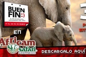 El Buen Fin 2017 Africam Safari