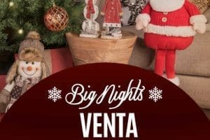 Gran Venta Nocturna The Home Store 2017