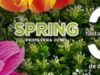 The Home Store: Ofertas especiales de primavera del 12 al 15 de Abril 2018