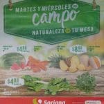 Frutas y Verduras Soriana 31 de Julio y 1 de Agosto 2018