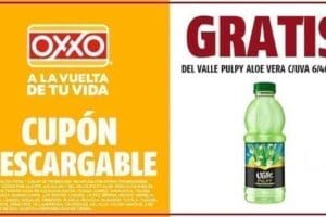 Cupones Oxxo: Rufles, Yogurt placer oreo y Del valle Aloe Vera Gratis