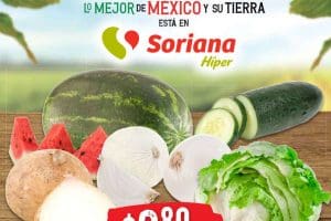 Folleto Soriana Martes y Miércoles del Campo 16 y 17 de junio 2020