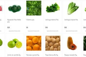 Folleto Tianguis Bodega Aurrerá frutas y verduras 1 al 7 de enero 2021
