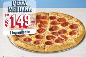 Domino’s Pizza: Pizza Sartén grande  1 ingrediente a $149