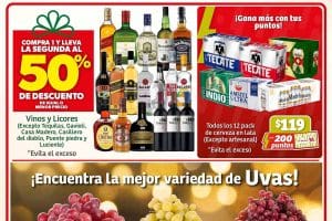 Folleto Soriana Mercado ofertas fin de semana Año Nuevo 2024