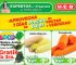 Ofertas HEB frutas y verduras del 16 al 22 de abril 2024