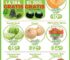 Ofertas HEB frutas y verduras del 21 al 27 de mayo 2024