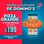 Promoción Domino’s Pizza: Todas las pizzas grandes hasta 9 ingredientes por $199