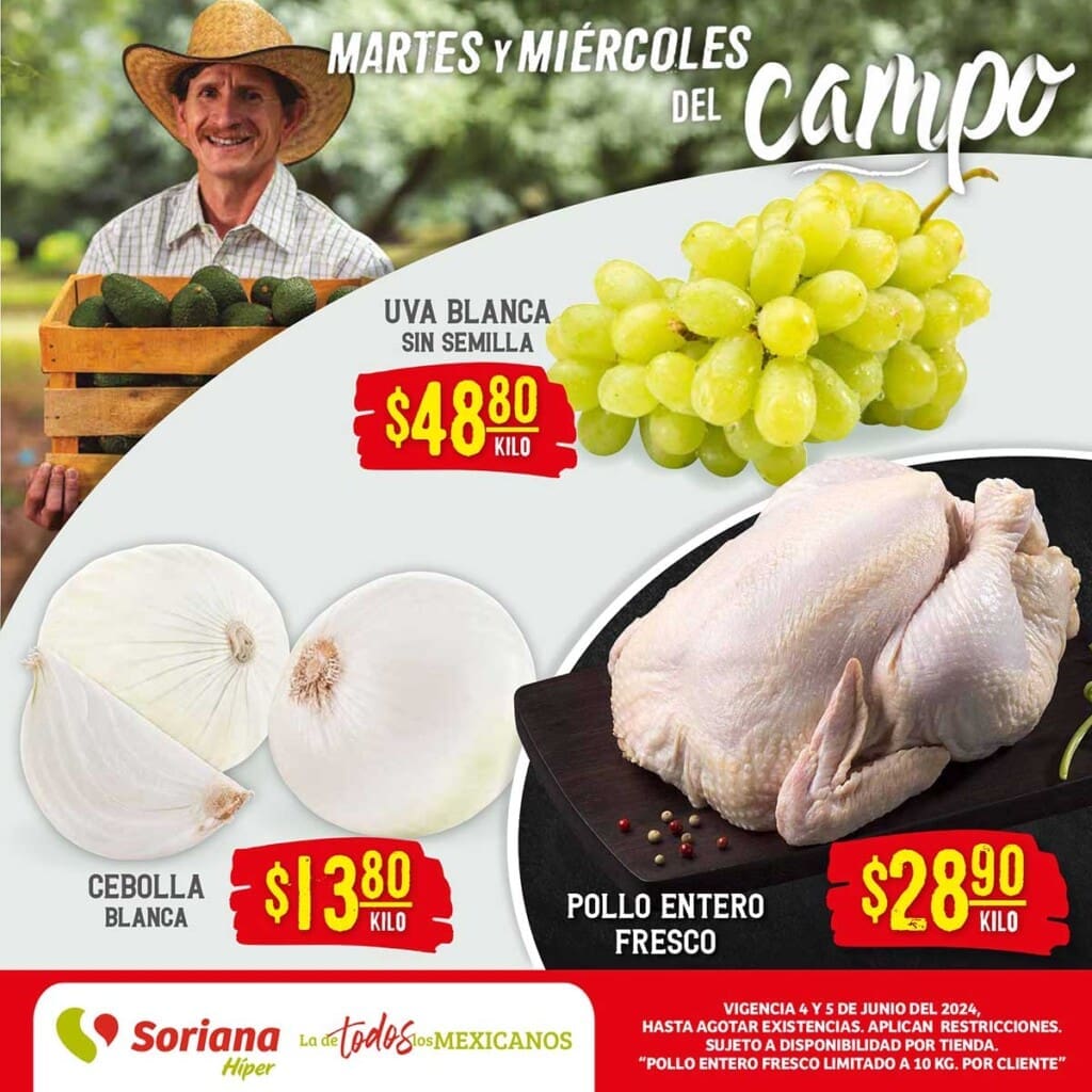 folleto soriana frutas verduras junio 4