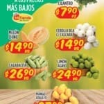 Folleto Mi Tienda del Ahorro frutas y verduras del 4 al 6 de junio 2024