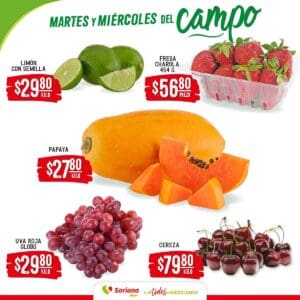 folleto soriana martes miercoles campo 3007 2