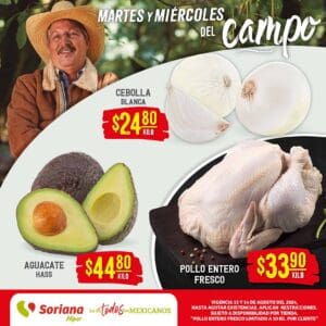 folleto soriana frutas verduras 130824