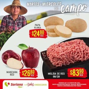 folleto soriana frutas verduras 200824