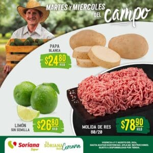 folleto soriana super frutas verduras 060824