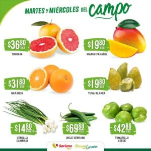 folleto soriana super frutas verduras 270824 2