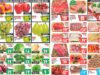 Ofertas Casa Ley frutas y verduras 15 y 16 de octubre 2024