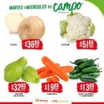 folleto soriana frutas verduras 081024 3