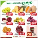 folleto soriana frutas verduras 101224 2