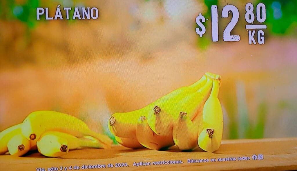 Soriana Martes y Miércoles del Campo 3 y 4 de diciembre 2024