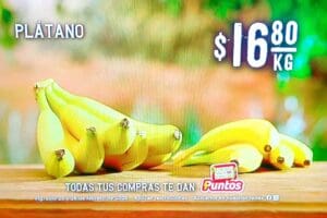 Ofertas Soriana Martes y Miércoles del Campo 25 y 26 de febrero 2025