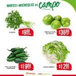 soriana campo 010425 3