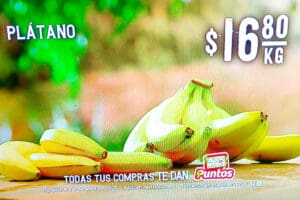 Ofertas Soriana Martes y Miércoles del Campo 8 y 9 de abril 2025