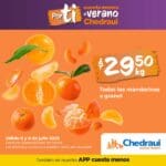 Ofertas Chedraui frutas y verduras 8 y 9 de julio 2025 5 martimiercoles chedraui 080725 5