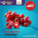 Ofertas Chedraui frutas y verduras 2 y 3 de junio 2026 4 chedraui martimiercoles 260526 3