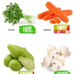 Folleto Soriana Súper Martes y Miércoles del Campo 2 y 3 de junio 2026 4 soriana super campo 260526 3