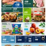 Cuponera Sam’s Club Folleto de ofertas del 3 de julio al 4 de agosto 2026 14 cuponera sams 060726 13